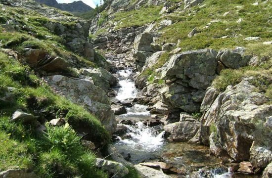 Aktivurlaub im Gsiesertal (1)