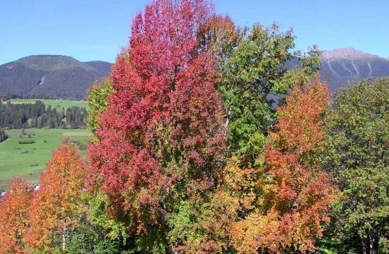 Wanderurlaub im Pustertal und Wandern im Gsiesertal